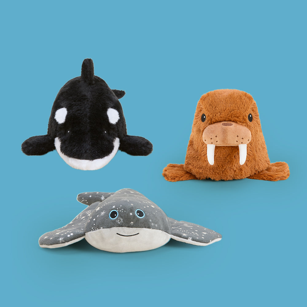 Under the Sea Bundle