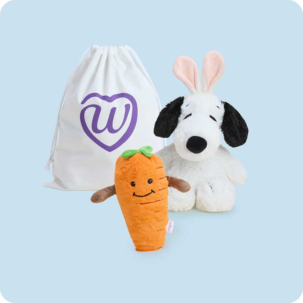 Snoopy's Springtime Duo