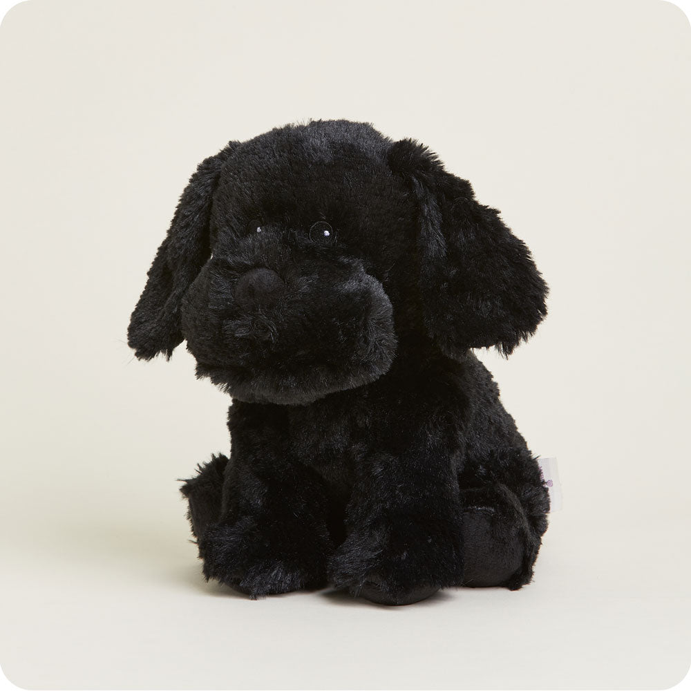 Black Labrador Warmies - Image 3