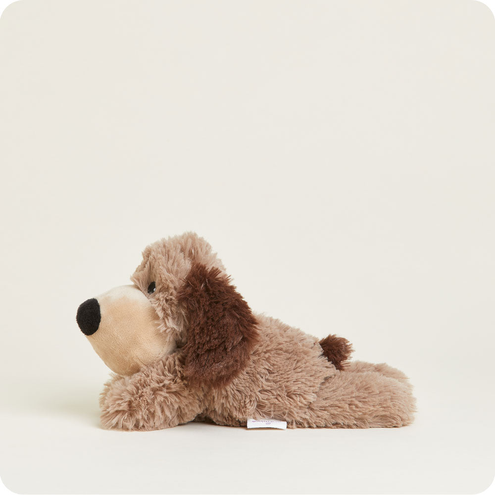 Brown Dog Warmies Junior - Image 4