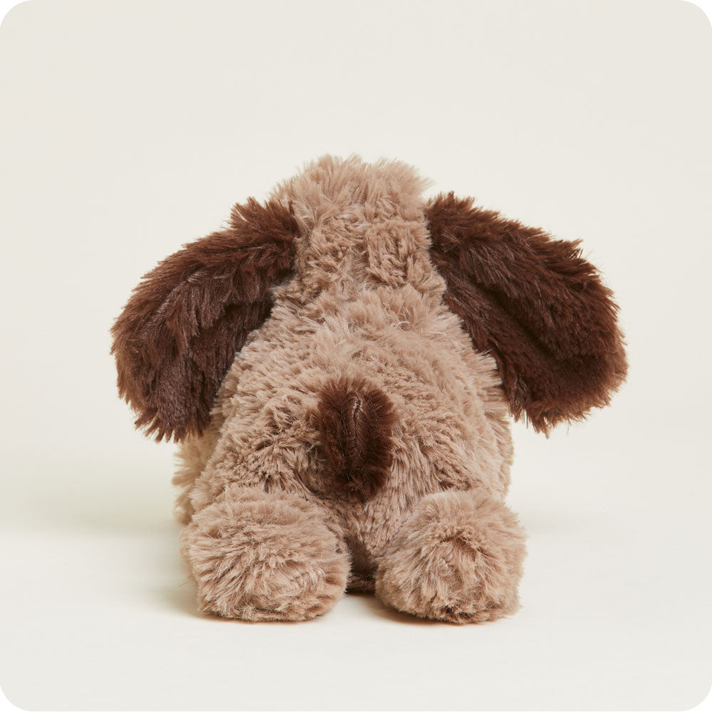 Brown Dog Warmies Junior - Image 5