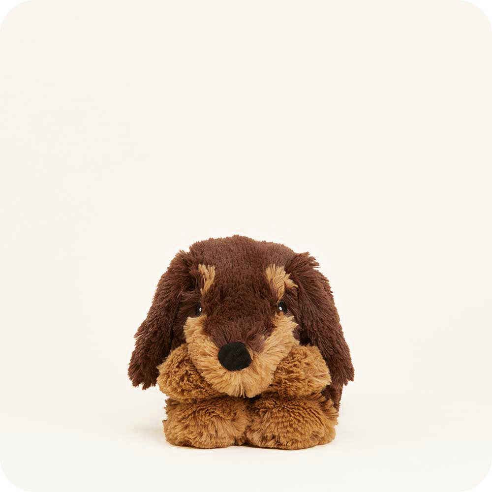 Dachshund Warmies Wrap - Image 4