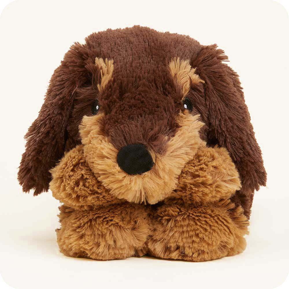 Dachshund Warmies Wrap - Image 5