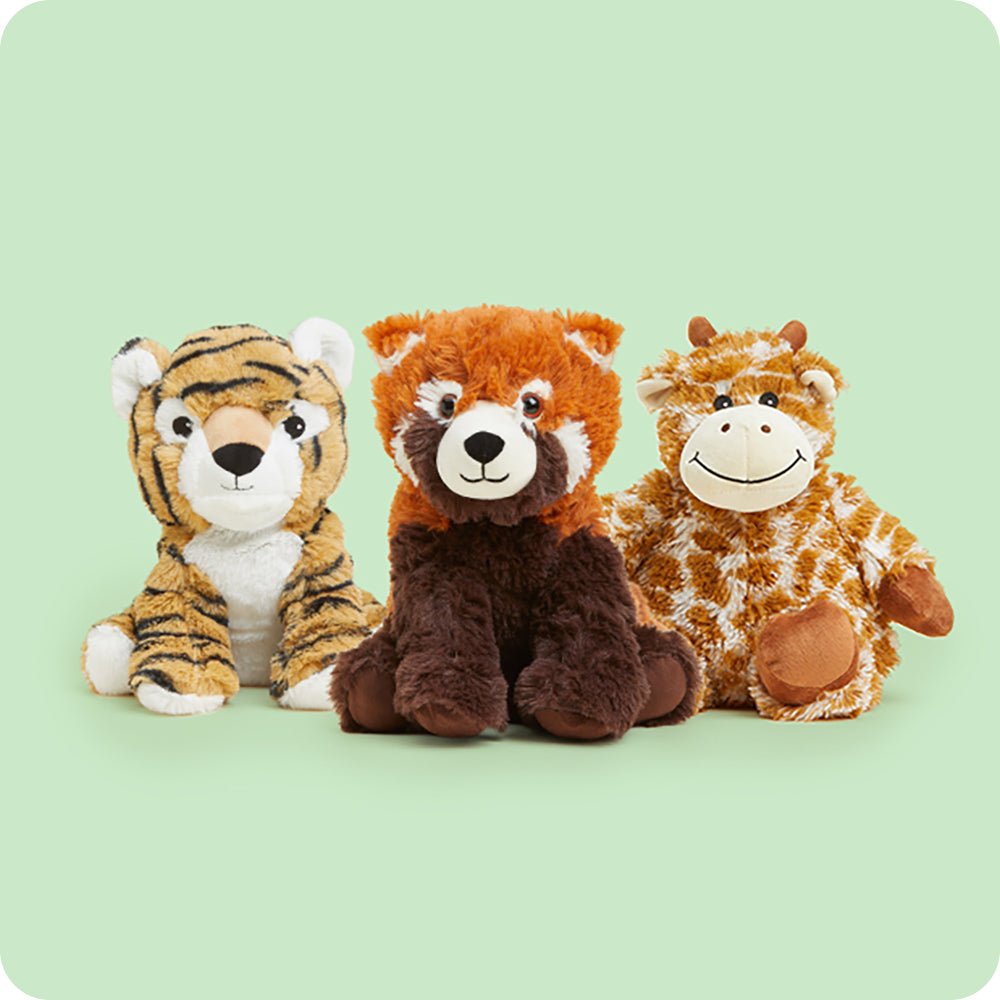 Safari Bundle