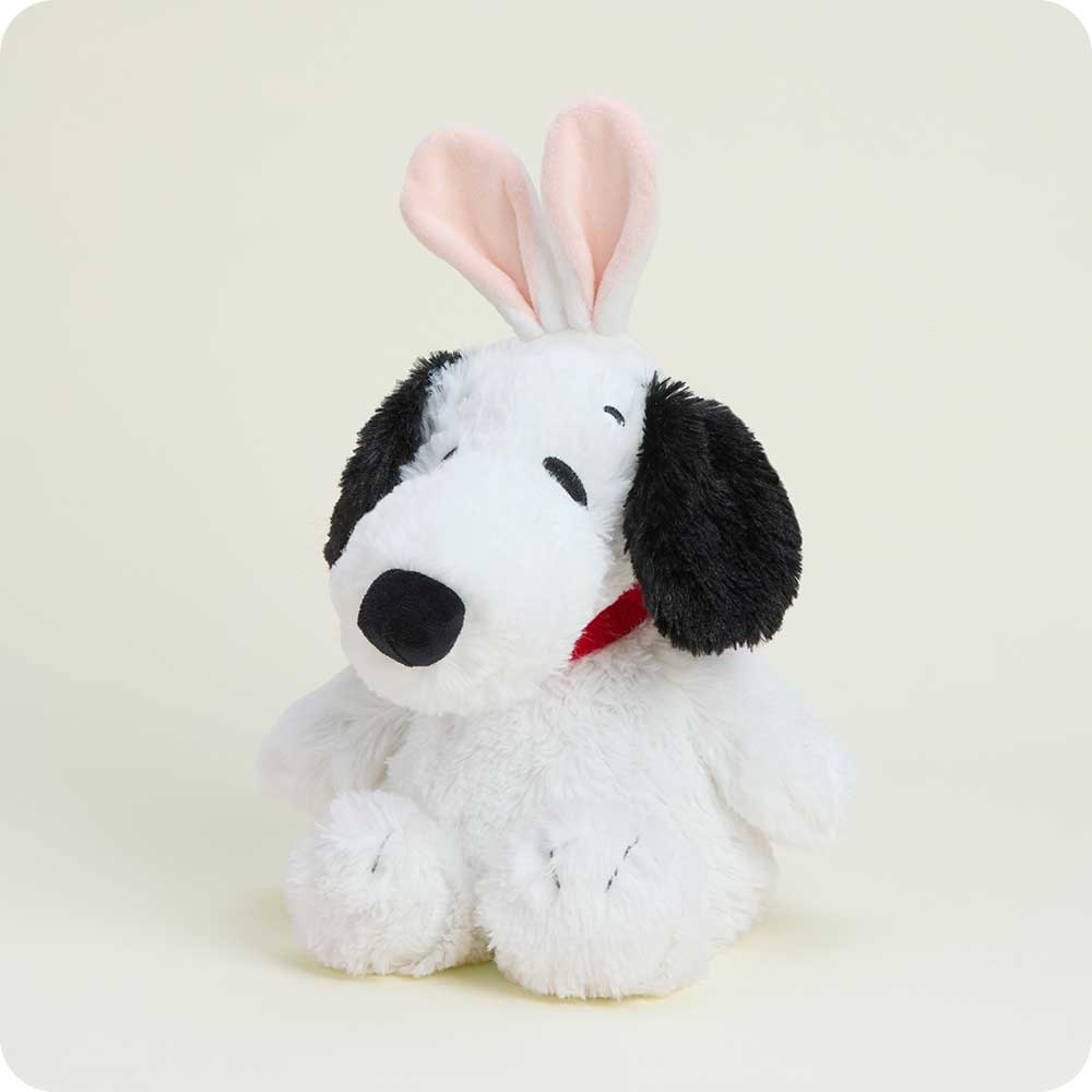 Alternative view of Snoopy's Springtime Duo