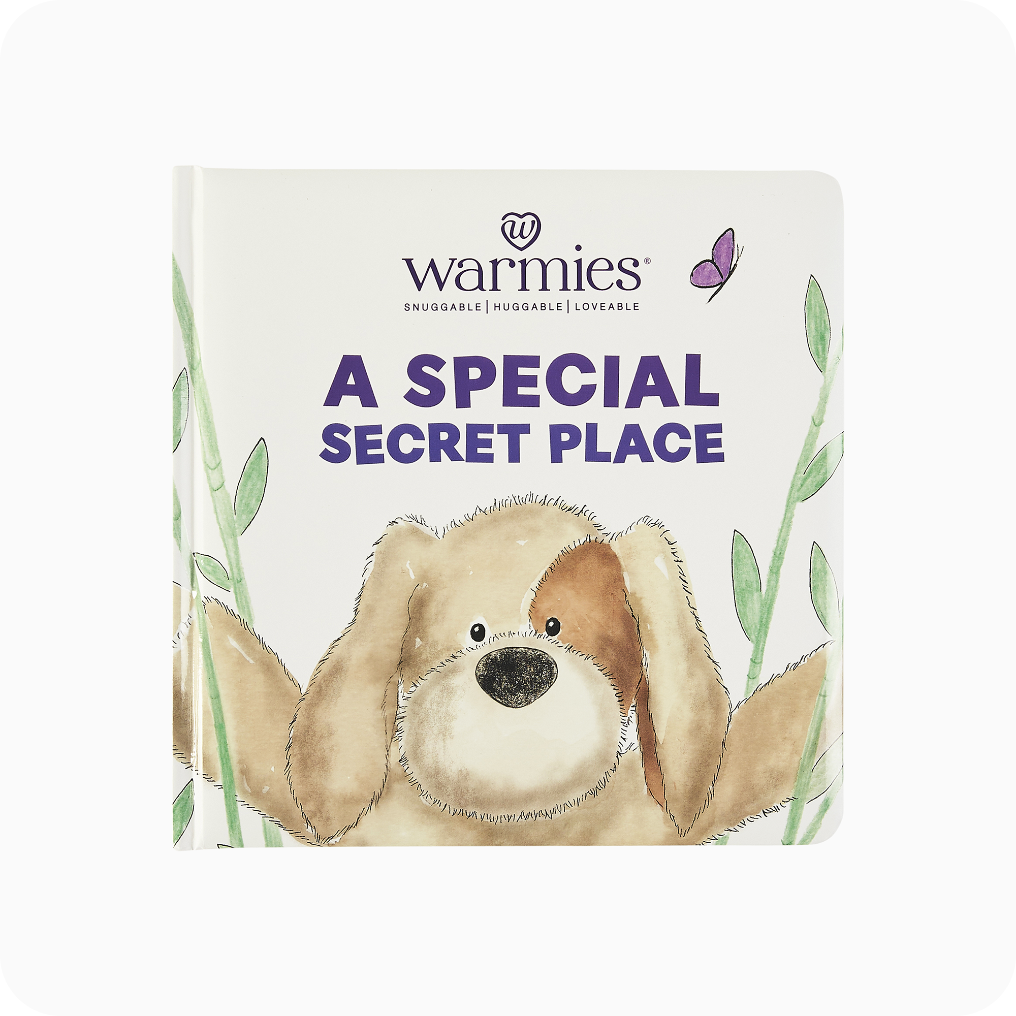 A Special Secret Place Board Book