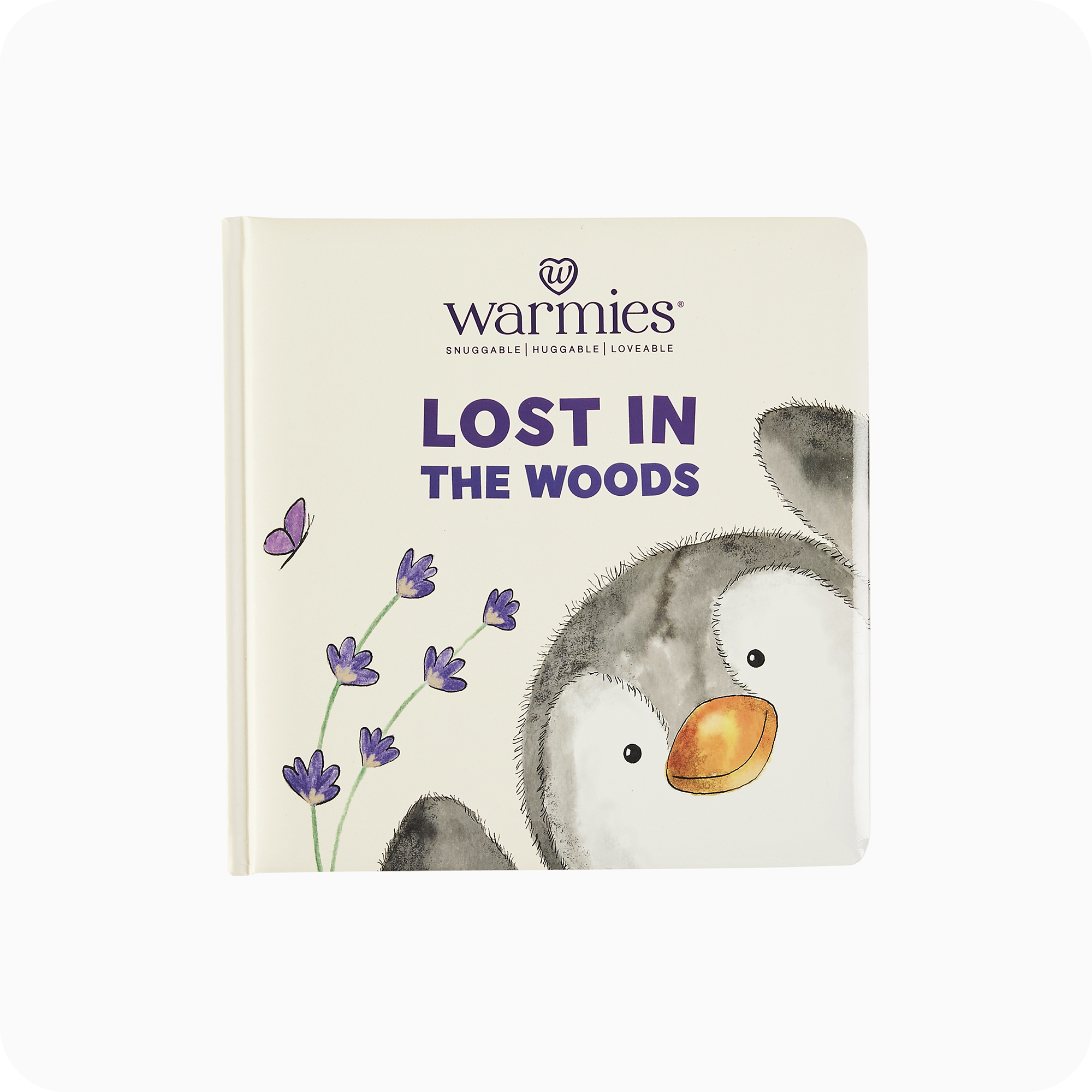 Lost in the Woods Board Book