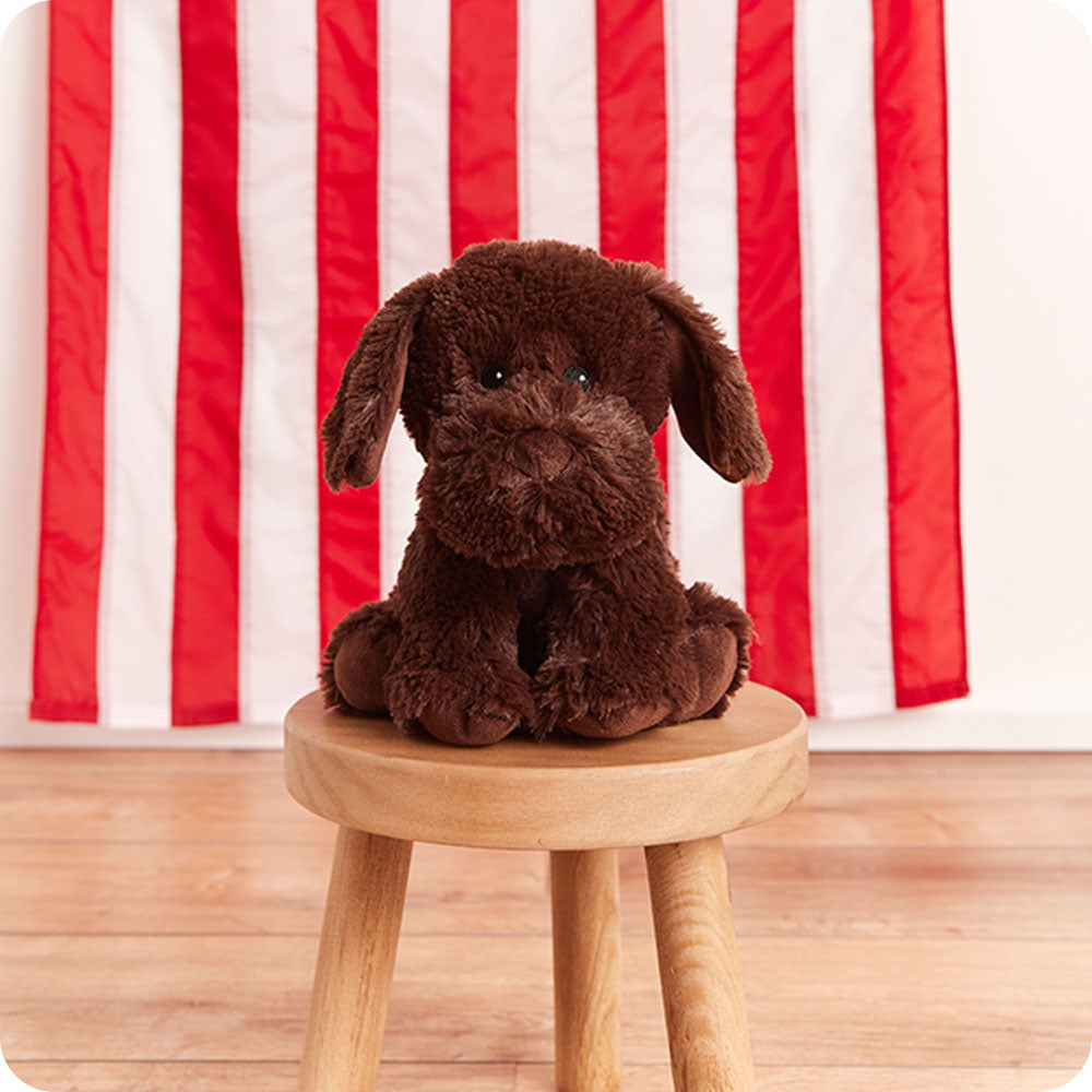 Alternative view of Chocolate Labrador Warmies
