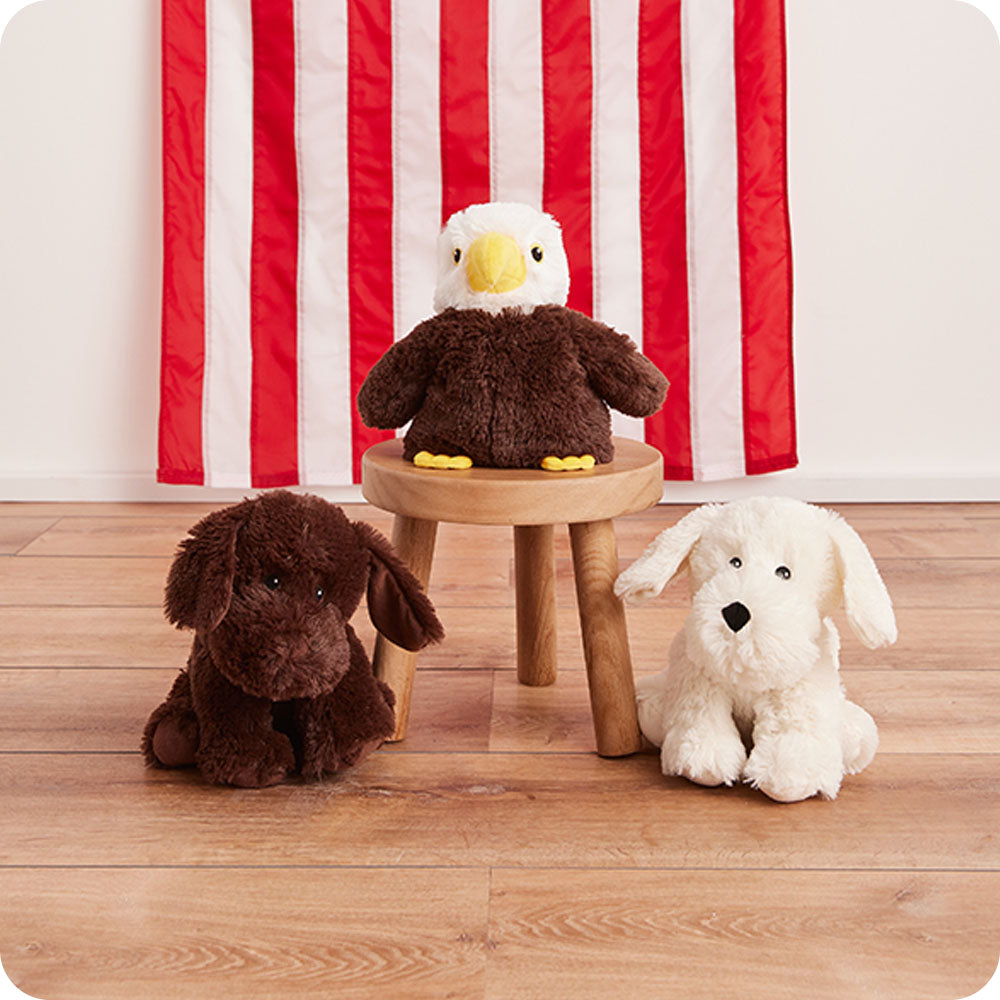 Alternative view of Yellow Labrador Warmies