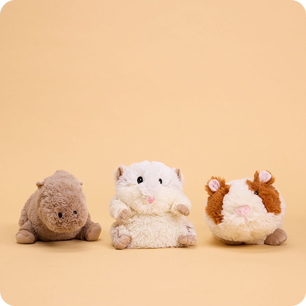 Alternative view of Guinea Pig Warmies